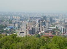 Постановление Главного санврача Алматы от 19 июля 2020 года № 49