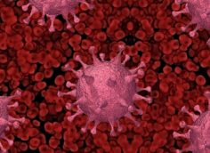 Ученые посчитали бессимптомных носителей коронавируса незаразными