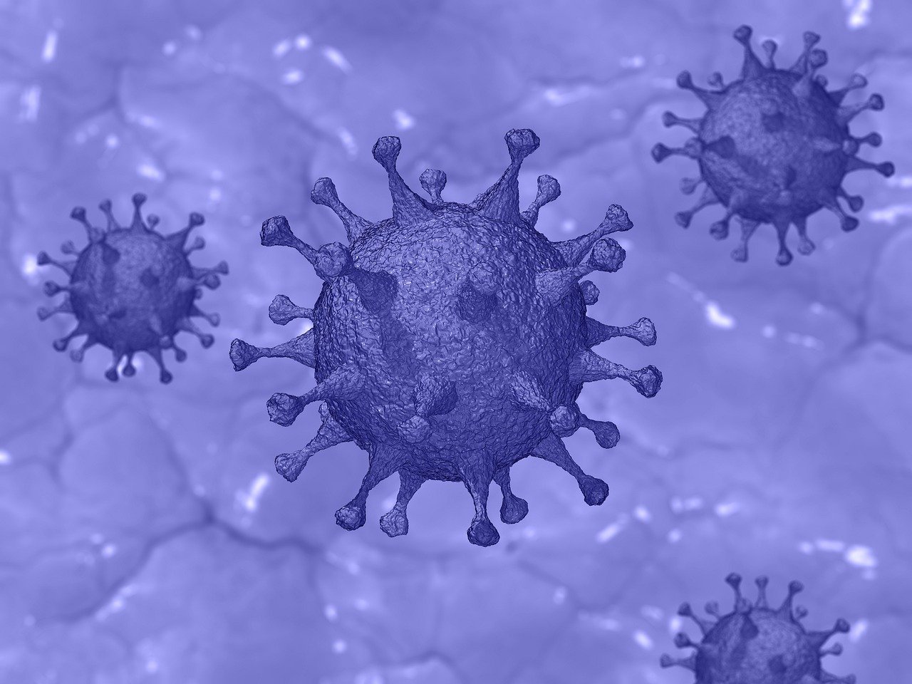 2021-й будет «годом коронавируса», считают в ВОЗ