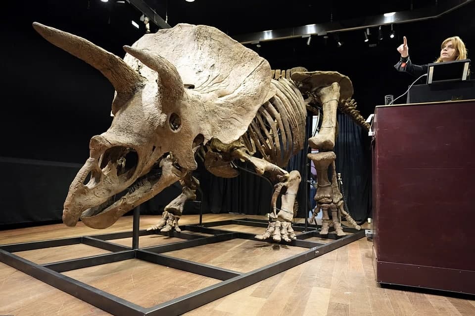 В Бельгии скелет огромного динозавра ушел с молотка за огромную сумму